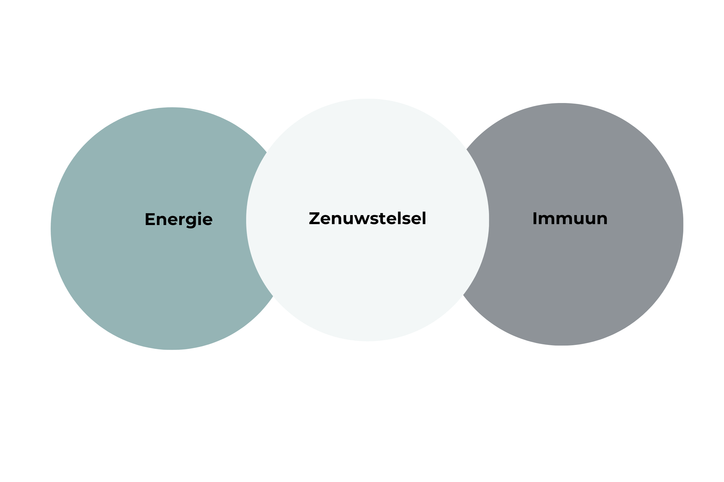 Energie – Zenuwstelsel – Immuun